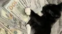 BattlEye banner