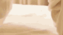 kat banner