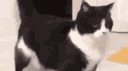 M16 🤠 banner