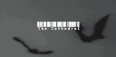 𝔗𝔥𝔢 ℭ𝔞𝔱𝔥𝔢𝔡𝔯𝔞𝔩🔺 banner