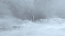 Arntreal Discord server banner