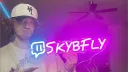 Skyzone banner