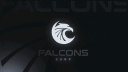FALCONS CAMP banner