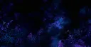 Meepster Island banner