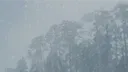 S-14 MA'AT server banner