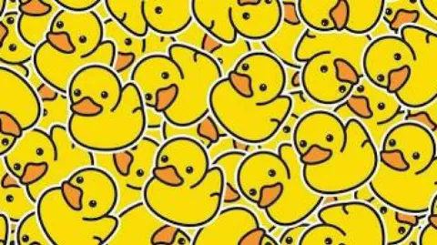 ๐ฆ โ๐ฆ๐๐๐๐๐ฃ๐ค โ๐ฆ๐๐ฃ๐ฅ๐๐ฃ๐ค ๐ฆ banner