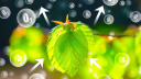 Photosynthesis banner
