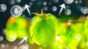 Photosynthesis banner