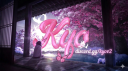 🌴・Kyo ! Discord server banner