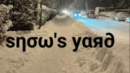 SNOW YARD™ • Chill • Giveaways • Nitro • Fun || server banner