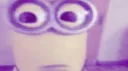 wilam the borr (18+) Discord server banner