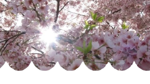 blo.ssm Discord server banner