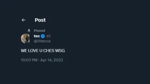 CHES WSG banner