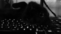/gleen server banner