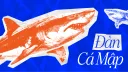 Đàn Cá Mập banner