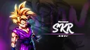 🐉'SKR • Drαgon Bαllᴿᴾ banner