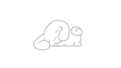 Astrelis ¹³+ banner