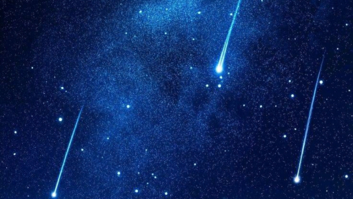 양기 강한 음지 Discord server banner