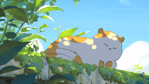 C0ZY | SÌ TÂY banner