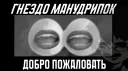 Индийская компания banner