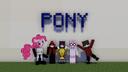 PONY Banner