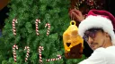 The Vidya Network .com banner