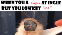 Parasitic Swag Hotel Discord server banner