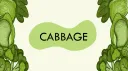 Cabbage Discord server banner
