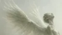 𝓛𝓸𝓼𝓽 𝓕𝓮𝓪𝓽𝓱𝓮𝓻 / CUSTOM TAG banner