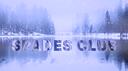 ⋆.˚ 𝑭𝒐𝒙𝒚 𝑮𝒂𝒎𝒃𝒍𝒆𝒓 𝑫𝒆𝒏 ˚.⋆ Banner