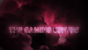 The Gaming Centre banner