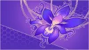 Project Iris banner