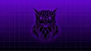 OWL banner