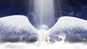 Kazuo Animanga #YETKİLİALIM banner