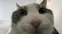 blarbz's hideout Discord server banner