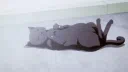 eden | 18+ Discord server banner