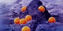 𝗗𝗿𝗮𝗴𝗼𝗻 𝗕𝗮𝗹𝗹: 𝗭𝘂𝗸𝗮𝗶 © banner