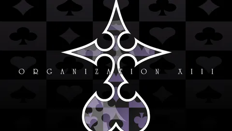 Organization XIII banner