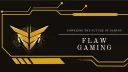 FLAW GAMING banner