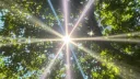meraki ─ · Discord server banner