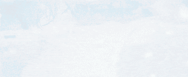 YSHORIZON. (REZE TAG) Discord server banner