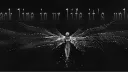 .ᴜɴʟᴄᴋ I ᴘᴜʙʟɪᴄ banner