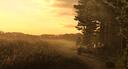 Last Light: Forgotten Roads Banner