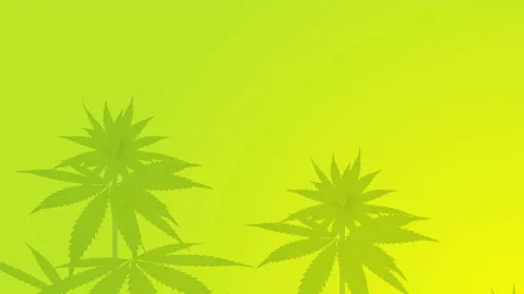 MBC NATION banner