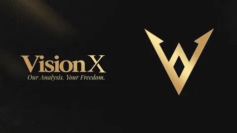 VisionX banner
