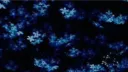 𝄞ᛝ WISTERIA ᛝ𝄞 Discord server banner