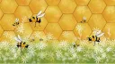 🐝HiveMind🐝 Discord server banner