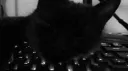 /kayos backup banner