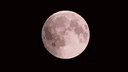 🌘 ̵̯͘ ̸T̶h̷e̷ ̶R̸e̶s̶o̷n̷a̷n̸c̸e̶ ̴G̸u̶i̶l̸d̸ ̶✨ banner