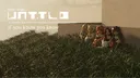 A12 ENTERTAINMENT | RT 250 / KUV banner